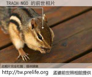 TRACH NGO 的前世相片