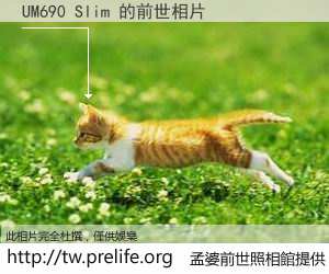 UM690 Slim 的前世相片