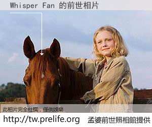 Whisper Fan 的前世相片