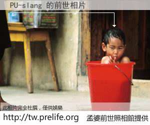 PU-slang 的前世相片