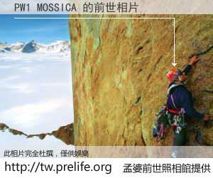 PW1 MOSSICA 的前世相片