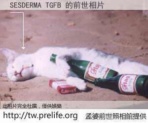 SESDERMA TGFB 的前世相片