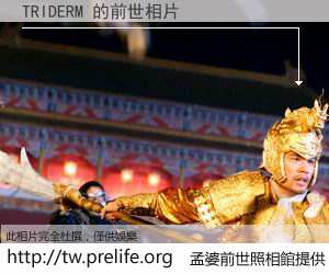 TRIDERM 的前世相片