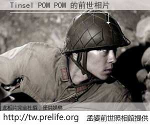Tinsel POM POM 的前世相片