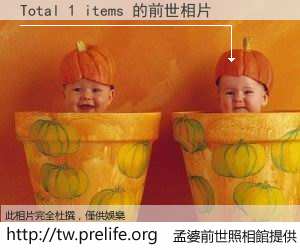 Total 1 items 的前世相片
