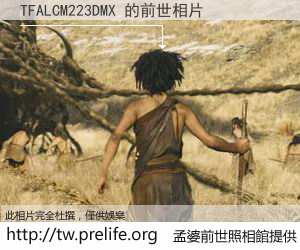 TFALCM223DMX 的前世相片