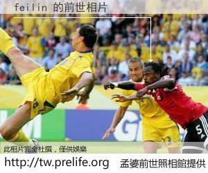feilin 的前世相片