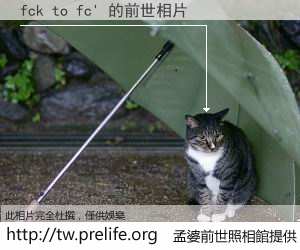 fck to fc' 的前世相片