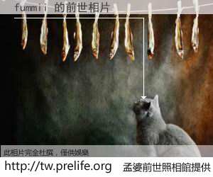 fummii 的前世相片