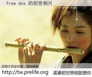 free dns 的前世相片