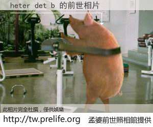 heter det b 的前世相片