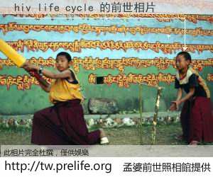 hiv life cycle 的前世相片