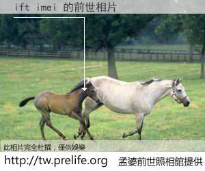 ift imei 的前世相片