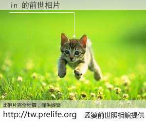 in 的前世相片