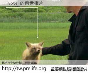 ivote 的前世相片
