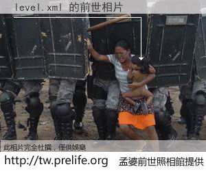 level.xml 的前世相片