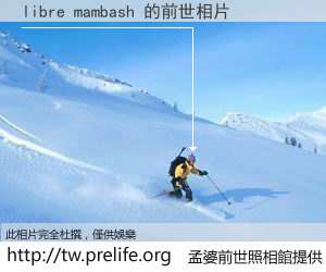 libre mambash 的前世相片