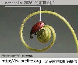 motorola 2026 的前世相片
