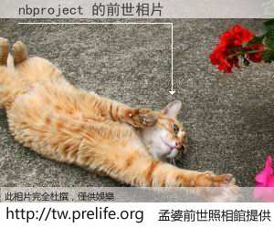 nbproject 的前世相片