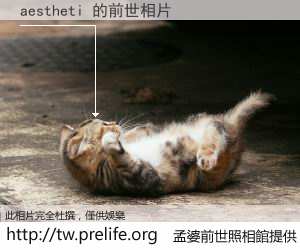 aestheti 的前世相片