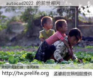 autocad2022 的前世相片