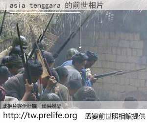 asia tenggara 的前世相片