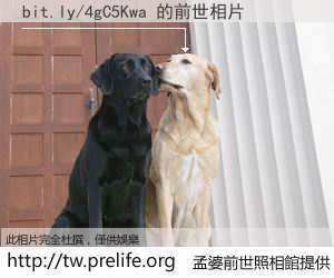bit.ly/4gC5Kwa 的前世相片