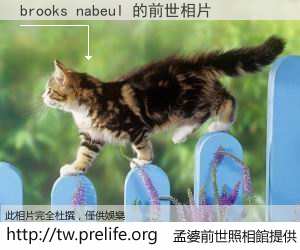 brooks nabeul 的前世相片