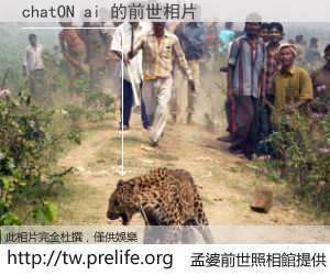 chatON ai 的前世相片