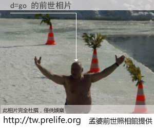 d=go 的前世相片
