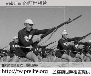 websim 的前世相片