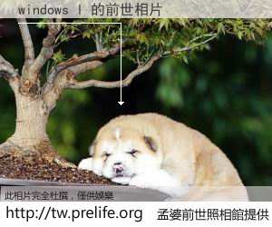 windows l 的前世相片