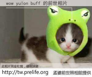 wow yulon buff 的前世相片