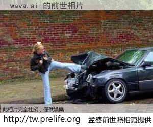 wava.ai 的前世相片