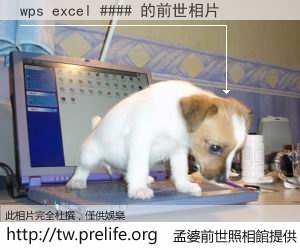 wps excel #### 的前世相片