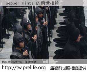 pepper mints 的前世相片