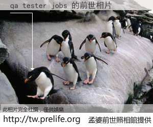 qa tester jobs 的前世相片