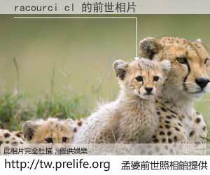 racourci cl 的前世相片