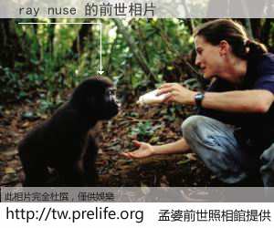 ray nuse 的前世相片