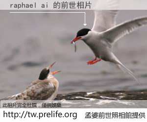 raphael ai 的前世相片