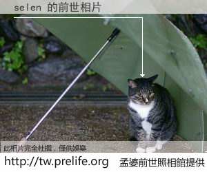 selen 的前世相片