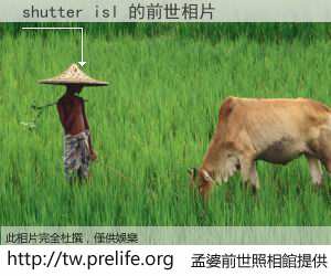 shutter isl 的前世相片