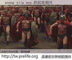 snoop slip ons 的前世相片