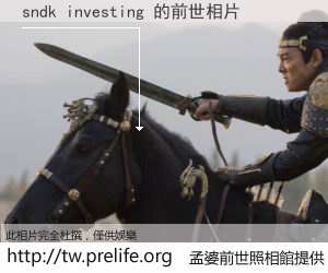 sndk investing 的前世相片