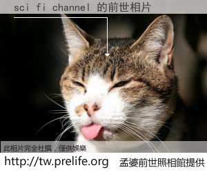 sci fi channel 的前世相片
