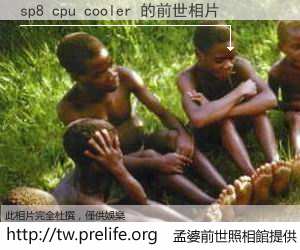 sp8 cpu cooler 的前世相片