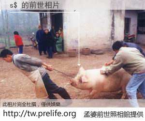 s$ 的前世相片