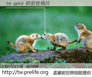 tm gpkd 的前世相片