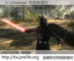 trichosense 的前世相片