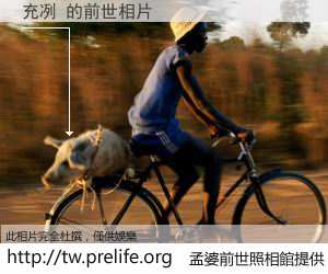 充冽 的前世相片